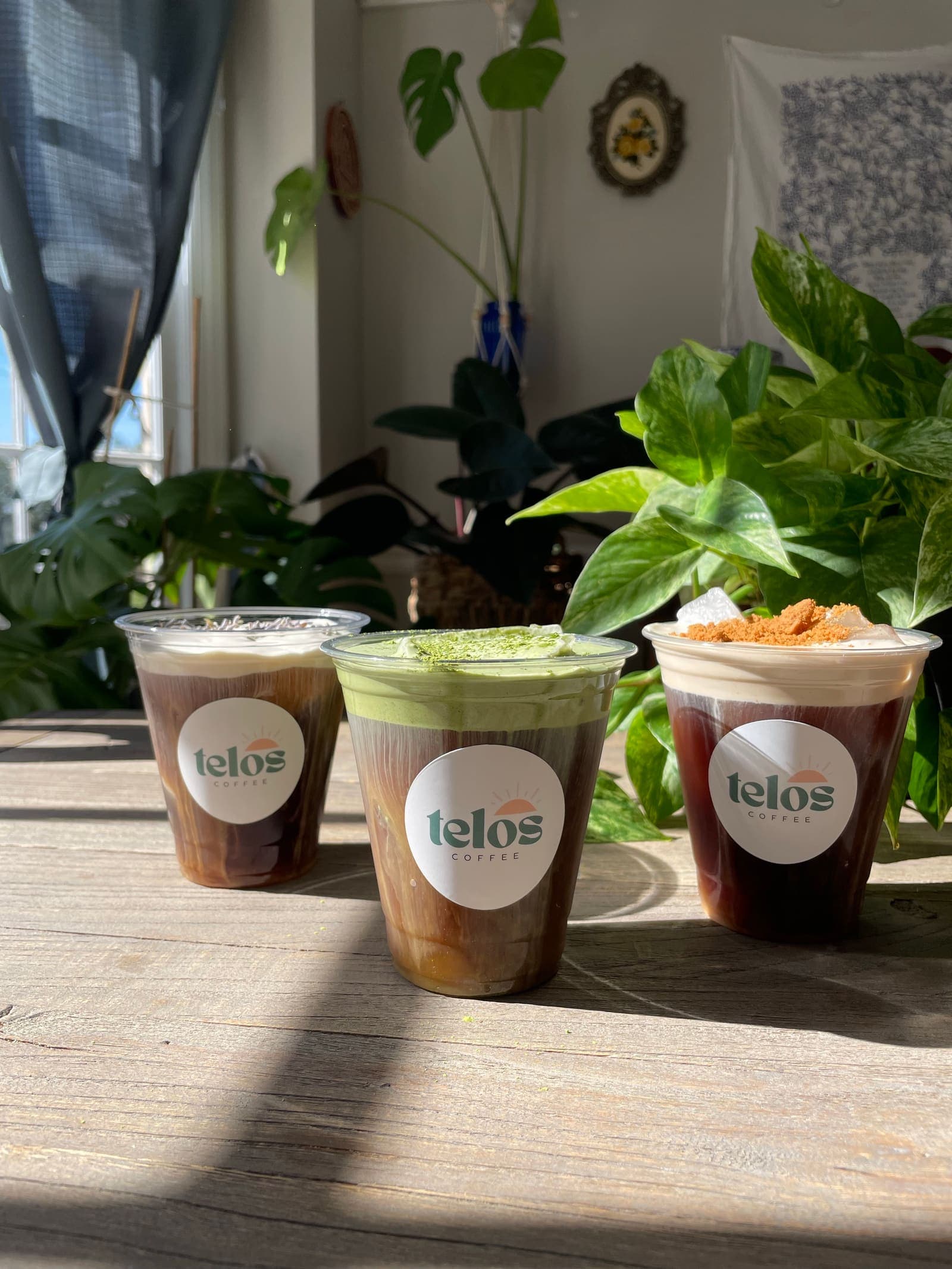 Three Telos Coffee drinks lined up on a sunlit table in front of a house plant